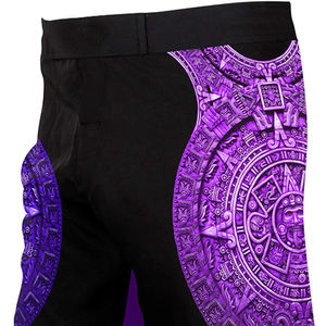 Shorts de Boxeo MMA Personalizados al por Mayor, Shorts de MMA para Hombre, Shorts de Kick Boxing para Ropa 2026 - Product Image 1