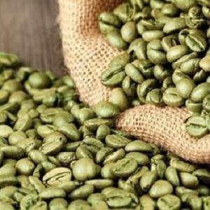 Hot Selling Thai Premium Quality <b>Roasted</b> Arabica <b>Coffee</b> <b>Beans</b> with Wholesale Green <b>Coffee</b> <b>Beans</b> - Product Image 1