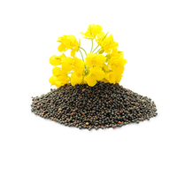 Graines de canola biologiques en vrac pour les usines alimentaires, prix pour les graines de lin et de chia
