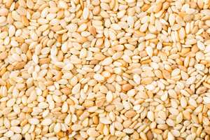 เมล็ดงาขาวคุณภาพสูง ผลผลิตใหม่ ไม่ปอกเปลือก เมล็ดงาขาวปอกเปลือก สำหรับสินค้าเกษตรจำนวนมาก - Product Image 2