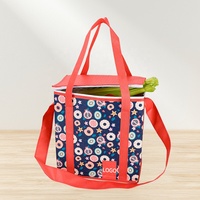Sac Isotherme Portable OEM/ODM pour Repas Chauds, Grande Capacité, Écologique, Réutilisable, en Tissu Non-Tissé, Logo Personnalisé