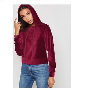 Sweat à capuche en velours pour femmes pull velours sweat Jogging sweat Sport Wear sweat à capuche prix de gros - Product Image 4