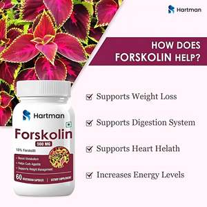 Capsules de gestion du poids pour adultes La forskoline favorise le métabolisme des graisses Rétention musculaire maigre Extrait de plantes sans danger pour les femmes enceintes - Product Image 4