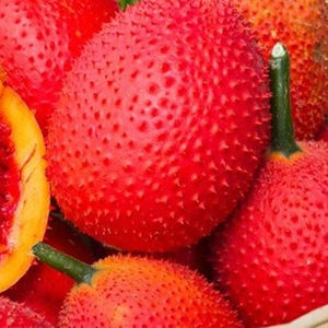 Viande de fruits Gac congelée de meilleure qualité à prix raisonnable, fournisseur professionnel, sofia - Product Image 1