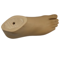 Prothèse de pied SACH pour membre artificiel |   Équipement de rééducation prothétique et de physiothérapie