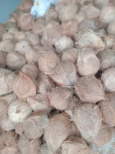 Noix de coco mature semi-décortiquée à l'exportation directe avec eau douce et rafraîchissante, bonne pour la cuisson, le mélange et la transformation des boissons - Product Image 3