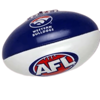 Mini Footy AFL Ball source de marque entièrement personnalisée directement de l'usine de fabrication au prix de gros avec livraison à domicile
