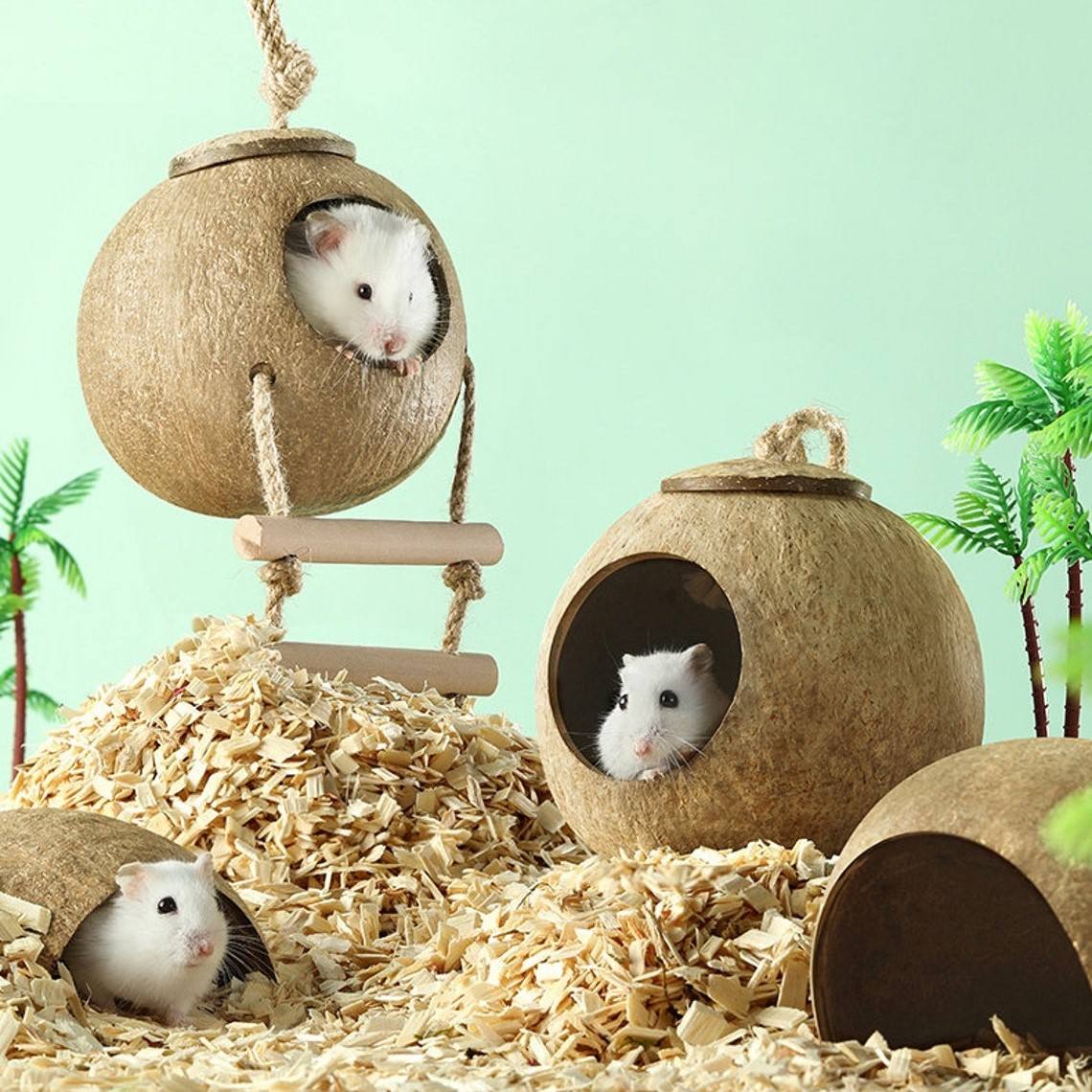 ธรรมชาติ