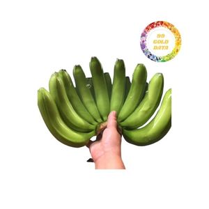 Banane Cavendish fraîche de qualité supérieure avec logo personnalisé Banane verte de haute qualité provenant d'un fournisseur vietnamien fiable - Product Image 5