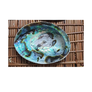 ขายดี: เปลือกหอยเป๋าฮื้อที่งดงามเหมาะสำหรับเครื่องประดับและงานฝีมือในการตกแต่ง - Product Image 3