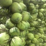 Đích thực tươi Thái dừa nhiệt đới và giải khát uống với phong phú ngọt ngào điện đóng gói nước trái cây vỏ bột giấy - Product Image 3