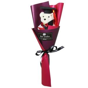 Orsetti di Schiuma Personalizzati in Stock per la Stagione di Laurea, Regali Unisex per Eventi Scolastici, Giornata dei Bambini, Giocattoli per Mercatini - Product Image 2