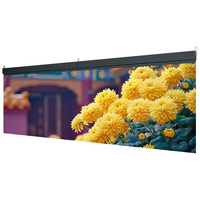 Écran LED Holographique Transparent Haute Définition 4000 Nits de Luminosité, Garantie 5 Ans pour Ascenseurs et Showrooms Automobiles en Verre