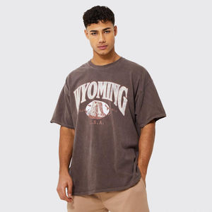 เสื้อยืดคอกลมธรรมดาสำหรับผู้ชายผ้าฝ้าย100% พิมพ์ลายพัฟ2025 - Product Image 1