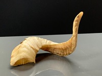 Vrais cornes de mouton naturelles polies pour la décoration et l'artisanat, de haute qualité