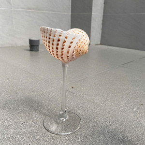 Ensemble de 2 verres à martini élégants en forme de coquillage, gobelets en coquillage organique pour les fêtes estivales à la plage - Macy - Product Image 5
