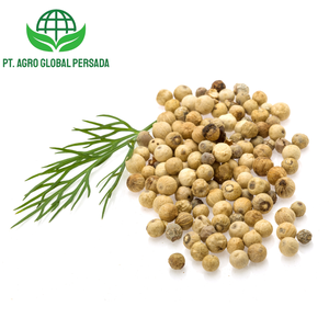 بيع بالجملة فلفل أبيض مالوكو ممتاز مصدره من أرقى مزارع الفلفل الأندونيسية لنضارة وطعم لا مثيل له - Product Image 1