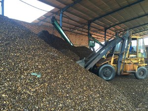 CASQUILLO DE ANACARDOS VIETNAMITA DE ALTA CALIDAD A PRECIO DE ALMACÉN-OFERTA CALIENTE 2024 - Product Image 5