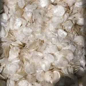 Escamas de pescado seco Material de exportación limpio secado al sol y procesado para aplicaciones de gelatina de colágeno Fuente confiable de Vietnam - Product Image 1