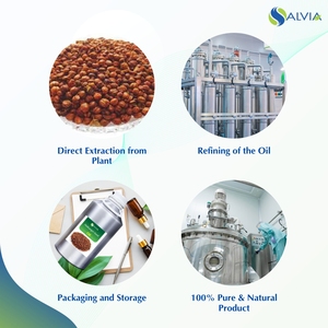 Huile de graines Malkangani 100% pur et naturel en gros en vrac prix le plus bas emballage personnalisé - Product Image 4