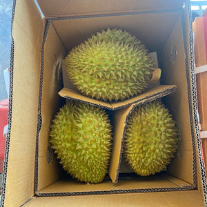 Durian Congelado en Cajas de 20 kg para Exportación +84 976727907 Sra. Carolina - Product Image 2