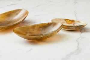 Bol en corne de buffle naturel fait main de qualité supérieure d'Inde, écologique, personnalisé, pour salades zen asiatiques, ustensile de cuisine pour fêtes - Product Image 2