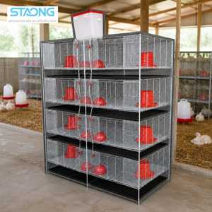 Cage <span class=keywords><strong>à</strong></span> poulets en maille d'acier isolée, haute résistance <span class=keywords><strong>à</strong></span> <span class=keywords><strong>la</strong></span> rouille, galvanisée <span class=keywords><strong>à</strong></span> chaud, pour l'élevage de cailles et de cochons d'Inde - Product Image 1