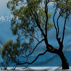 Las Camisetas De Sublimación de color personalizadas para hombres más vendidas, transpirables, 100% poliéster, respetuosas con el medio ambiente, MOQ bajo - Product Image 6