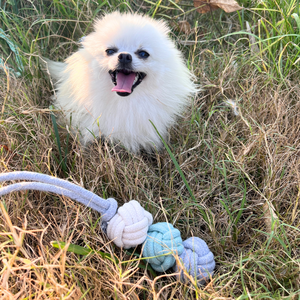 Jouet de tirage pour chien de luxe écologique style crème glacée à la menthe, bâton durable en coton et laine pour le nettoyage des dents et cadeaux pour animaux de compagnie - Product Image 3