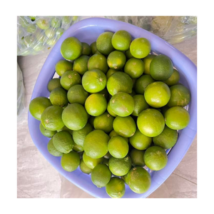 Limón Fresco sin Semillas de Vietnam / Lima Fresca de 6 cm de Diámetro, Limón Verde sin Semillas de Vietnam para Exportación - Product Image 3