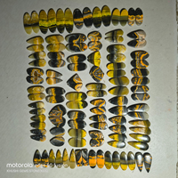 Pierre précieuse artisanale Abeille, paire de pierres précieuses naturelles polies, pierres brutes pour bijoux, vente en gros disponible, meilleur prix