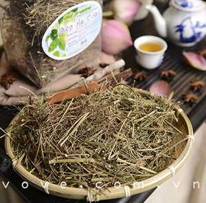 Vietnam séché phyllanthus urinaria avec le prix concurrentiel - Product Image 1