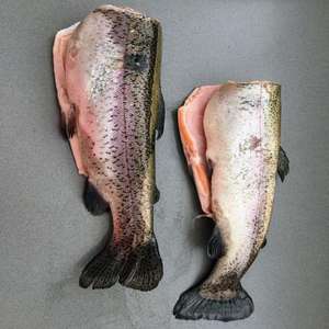 Pescado Congelado de Bacalao H/G al por Mayor de Noruega - Grado Alimenticio - Product Image 3