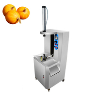 Machine à éplucher la citrouille de pastèque Éplucheur de melon d'hiver