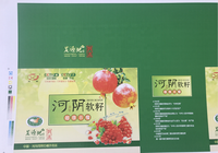 BOJUN Chine : Nouvelle machine de laminage feuille à feuille et laminateur de carton de qualité