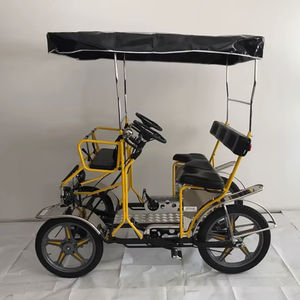 Vente de tricycles électriques pour la mobilité urbaine au meilleur prix - Product Image 1