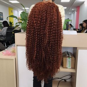 DEEP CURL WIG 2023 vente chaude en gros cheveux vietnamiens cheveux humains vierges pour les femmes Fedex HEN Time - Product Image 1