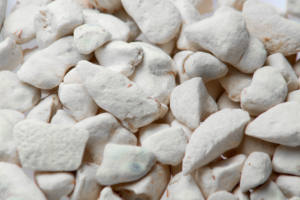 Meilleure Qualité Huile De Graines De Baobab Fruits Produits Agricoles Premium - Product Image 4