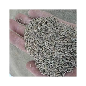 เมล็ดยี่หร่าดิบอบแห้งเครื่องเทศเกรดพรีเมี่ยม - Product Image 6