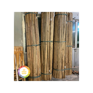 PILAS DE BAMBÚ VIETNAMÉS-BAMBÚ DE ALTA CALIDAD PARA AGRICULTURA Y CONSTRUCCIÓN-FUENTE DE MATERIAL AMBIENTAL - Product Image 4