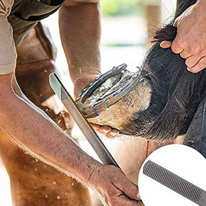 Kit d'outils de maréchal-ferrant professionnel pour le soin des sabots de cheval, ensemble durable en acier inoxydable, kit d'outils de maréchal-ferrant de qualité supérieure - Product Image 5