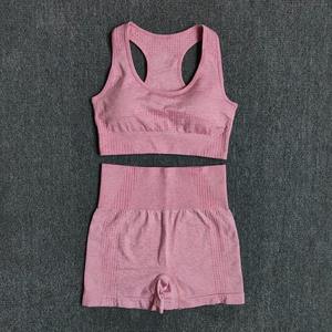 Quick Dry Women Sportswear Yoga Set Fitness Gym Yoga Clothing Suit Sets Workout Running Training - Product Image 4