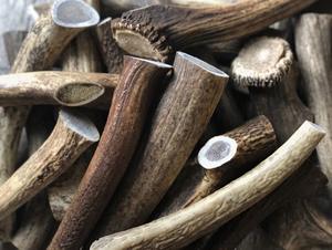 เขากวางแดงเกรดพรีเมียมแบบหั่นเป็นชิ้น - Product Image 6