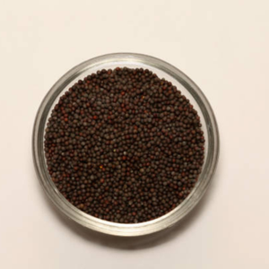 100% graines de moutarde noire bio pures séchées processus publicitaire épices naturelles herbe et racine traitement brut ISO - Product Image 6