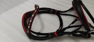 Banda de cejas de cristal de piedra de diseñador y relleno rojo con riendas Web Brida de cuero de doma disponible en la India. - Product Image 5