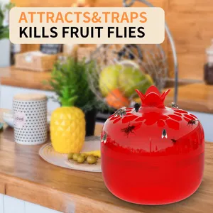Innovative Funnel-Shaped Holes Fruit Fly Traps Convenient Automatic Fruit Fly Trap Sustainable Fruit Fly Live Trap For Indoors