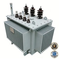 Transformateur immergé dans l'huile APEX S13 100-2500 kVA 11-33 kV 380-415 V Triphasé 50 Hz 60 Hz pour installations commerciales IEC 60076