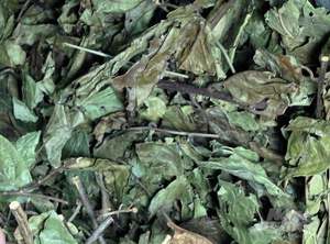 PURE CELASTRUS HINDSII/ALTA CALIDAD/ETIQUETA LIMPIA/BASADA EN PLANTAS - Product Image 2