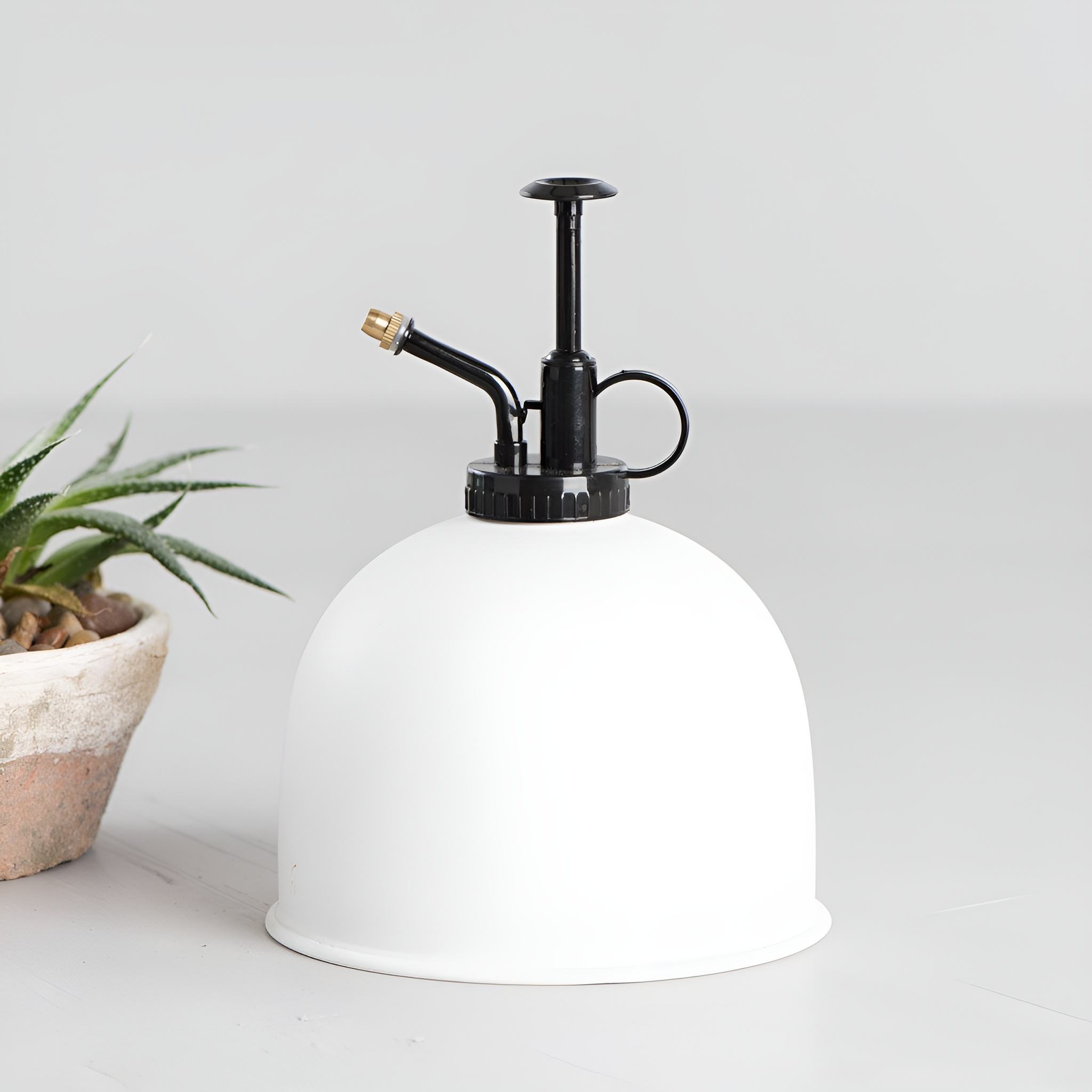 ตามที่แสดง