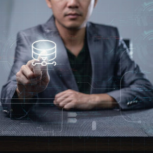 Soluciones Profesionales de Gestión de Bases de Datos para Aplicaciones Empresariales y Sistemas de Datos Digitales, Servicios de Organización de Datos - Product Image 4